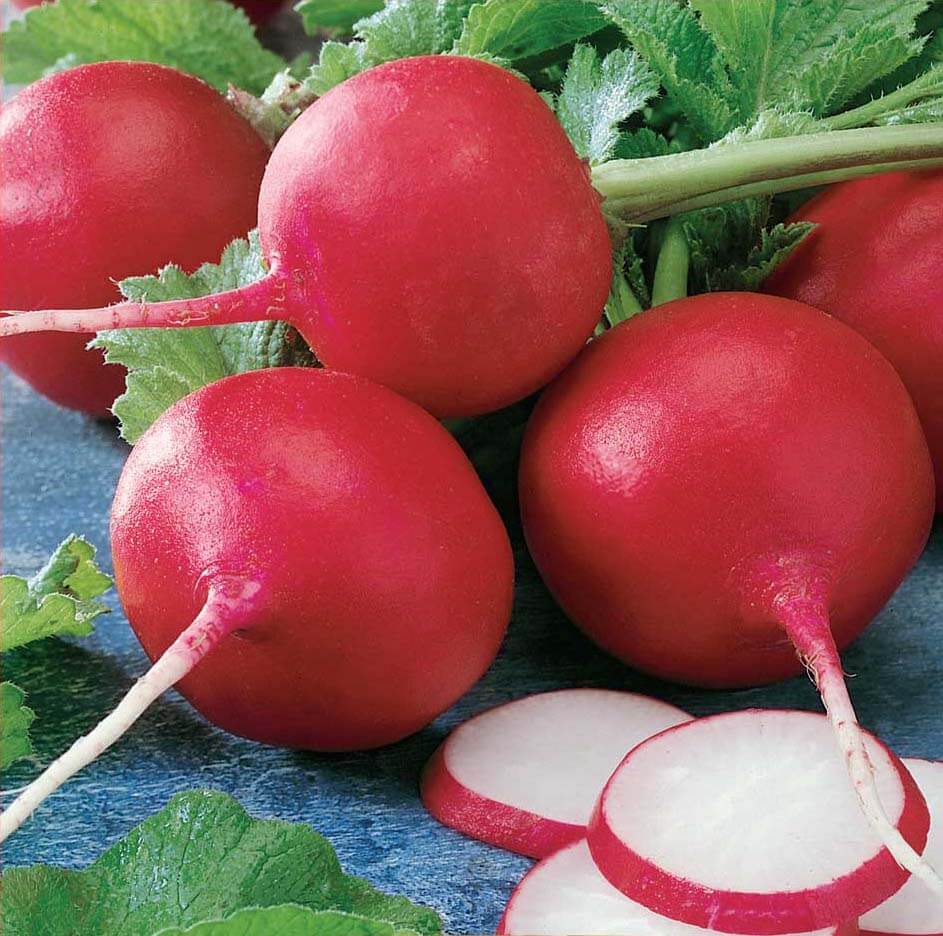 Cherry Belle Radish Seeds - Vegetable Seeds for sale online - Vegetable ...