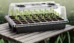 40 Cells Propagator with LED grow lights