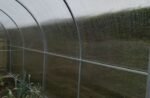 "AG COMPACT" Polycarbonate Greenhouse/Polytunnel W 2m x L 6m x H 2.1m (W 6.6ft x L 19.6ft x H 6.9ft) - Image 2