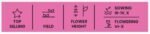Princess China Aster Flower Seeds Mix - Image 2