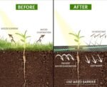 Weed Control Fabric W 1.5m x L 14m (W 5ft x L 46ft) - Image 2