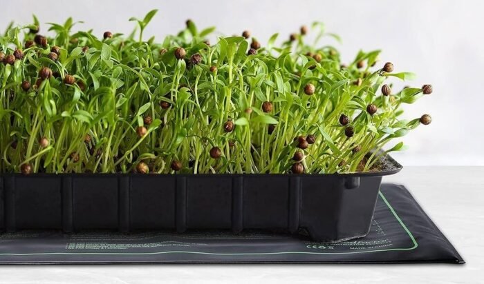 Seedling Heat Mat W 25.4cm x L 50.8cm (10 x 20 inch) - Image 4