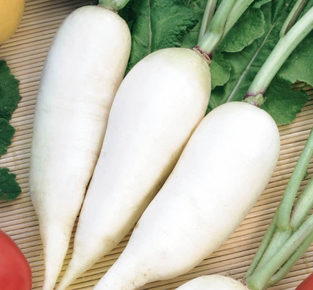 Agata Radish Seeds Agata Radish Seeds