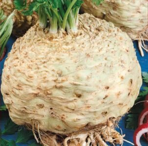 Albin Celeriac Seeds