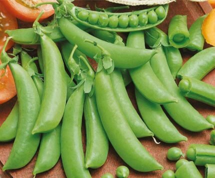 Ambrosia Sugar Pea Seeds