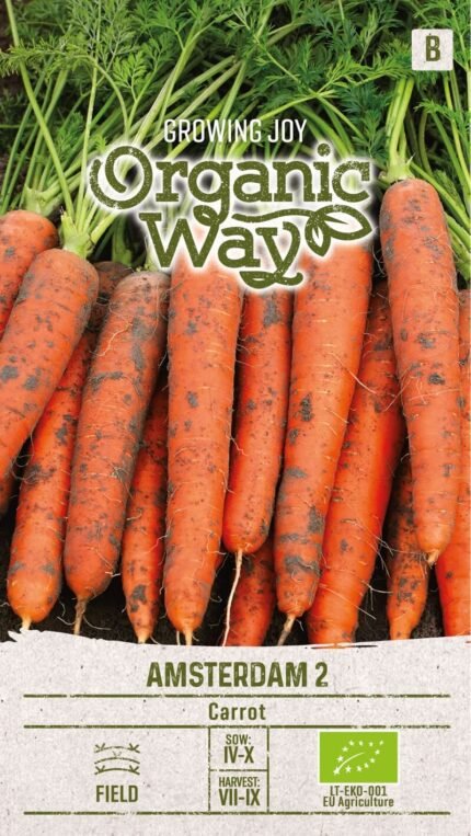 Amsterdam 2 Organic Carrot Seeds