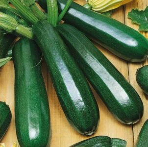 Astia H Courgette Seeds
