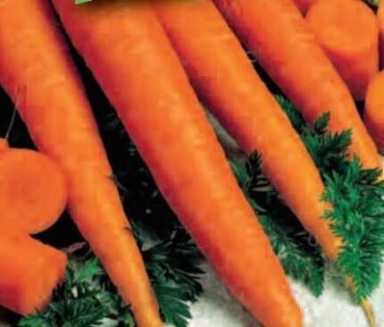 Autumn King 2 Organic Carrot Seeds