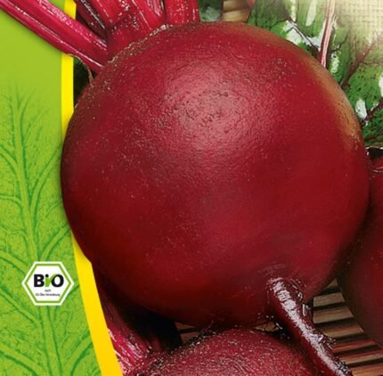 Beetroot Seeds