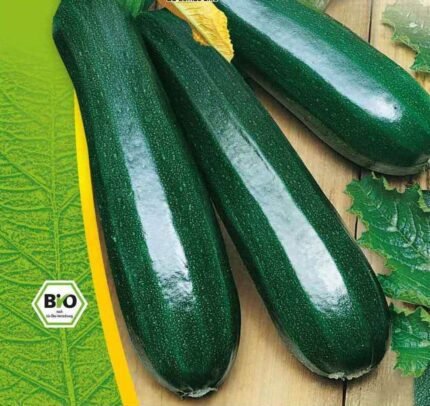 Black Beauty Organic Courgette Seeds