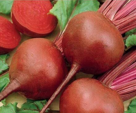 Bona Beetroot Seeds Bona Beetroot Seeds