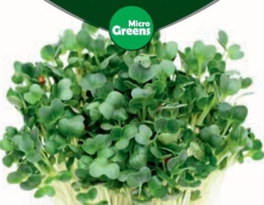 Broccoli Micro Greens Seeds