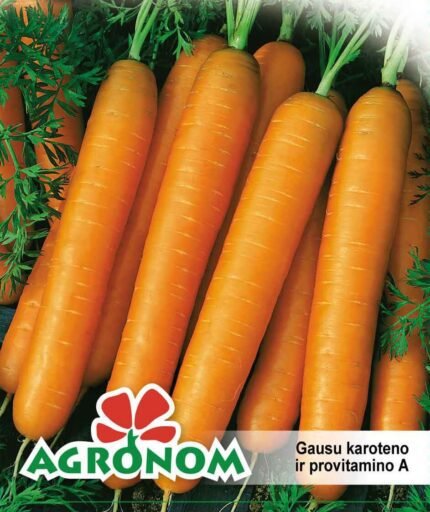Carrot Seeds
