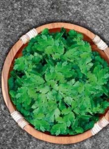 Coriander Seeds