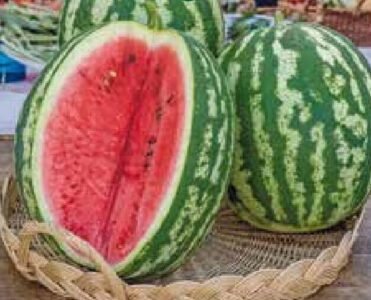 Crimson Sweet Watermelon Seeds