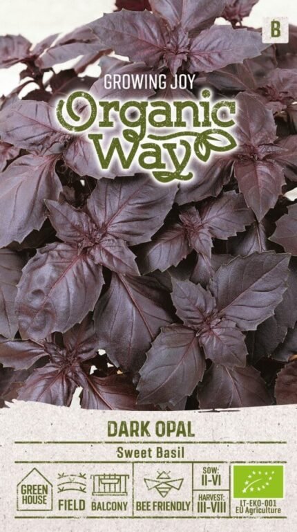 Dark Opal Sweet Basil Seeds