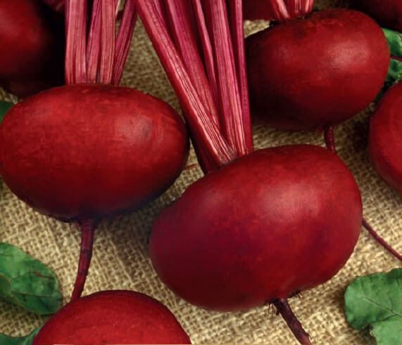 D'egypte Beetroot Seeds D'egypte Beetroot Seeds