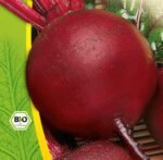 Detroit 2 Organic Beetroot Seeds