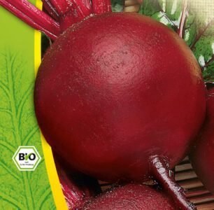 Detroit 2 Organic Beetroot Seeds