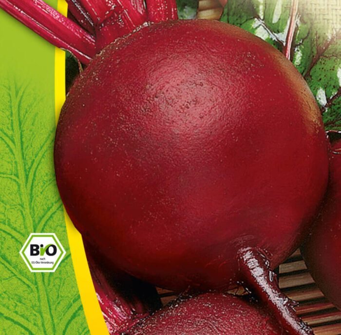 Detroit 2 Organic Beetroot Seeds