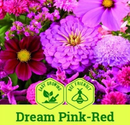 Dream Pink Red Flower Mix Seeds