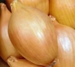 Elista Onion Seeds