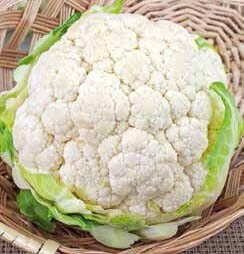 Erfurt  Cauliflower Seeds