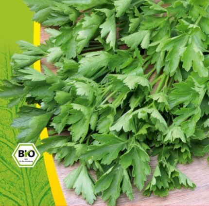 Gigante D'Italia Organic Parsley Seeds