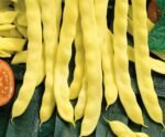 Goldmarie Climbing French Bean Seeds