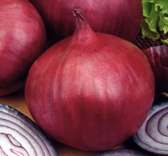 Grenada Onion Seeds
