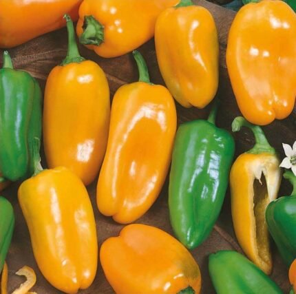 Hamik Sweet Pepper Seeds