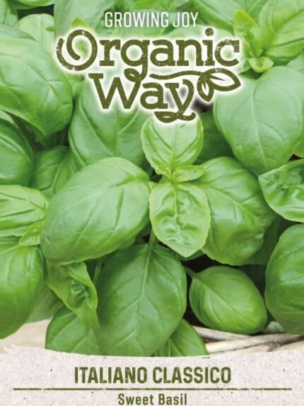 Italiano Classico Organic Sweet Basil Seeds