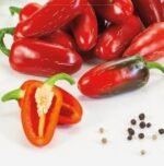 Jalapeno M Hot Pepper Seeds