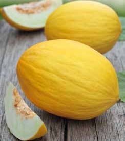 Jaune Canari 2 Melon Seeds