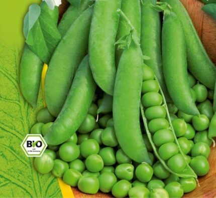 Karina Organic Wrikled Pea Seeds