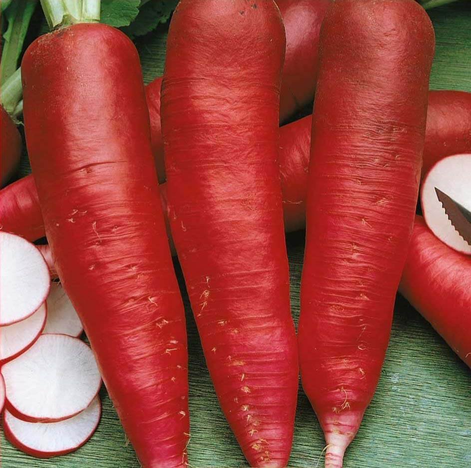 Karmina Radish Seeds Karmina Radish Seeds