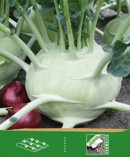 Kohlrabi Seeds