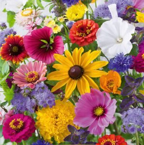 Last Minute Flower Mix Seeds
