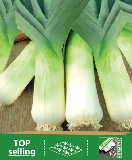 Leek Seeds