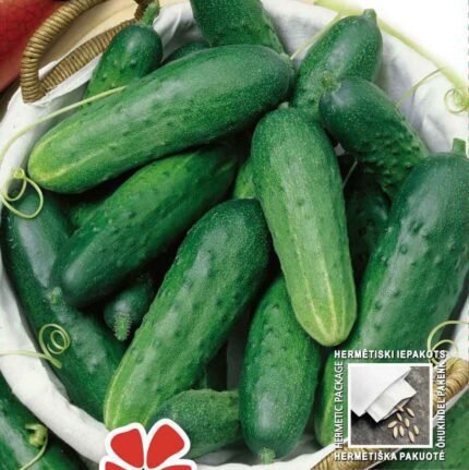Marketer Cucumber Seeds