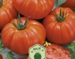 Marmande Tomato Seeds