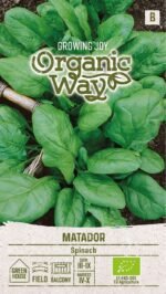 Matador Organic Spinach Seeds