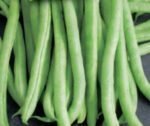 Maxi Organic French Bean Seeds