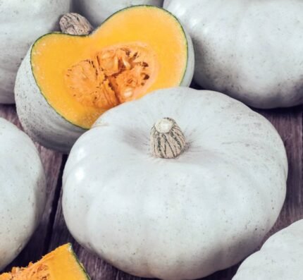 Nagydobosi Pumpkin Seeds