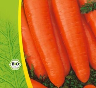 Nantes 2 Organic Carrot Seeds