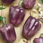 Oda Sweet Pepper Seeds