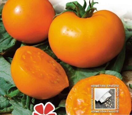 Oranze Tomato Seeds