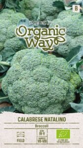 Organic Calabrese Natalino Broccoli Seeds