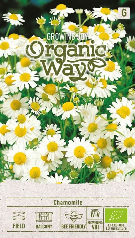 Organic Chamomile Seeds