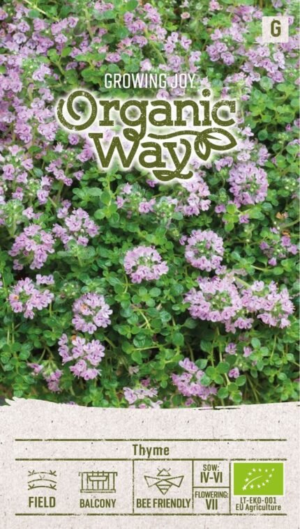 Organic Thyme Seeds